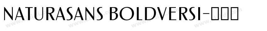 NaturaSans BoldVersi字体转换